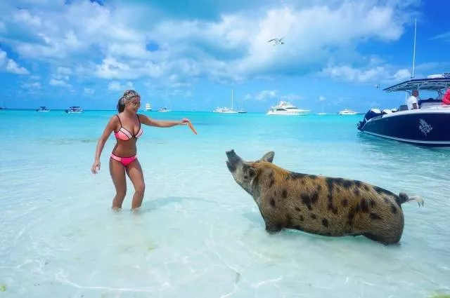 Picdump 160 - #14 