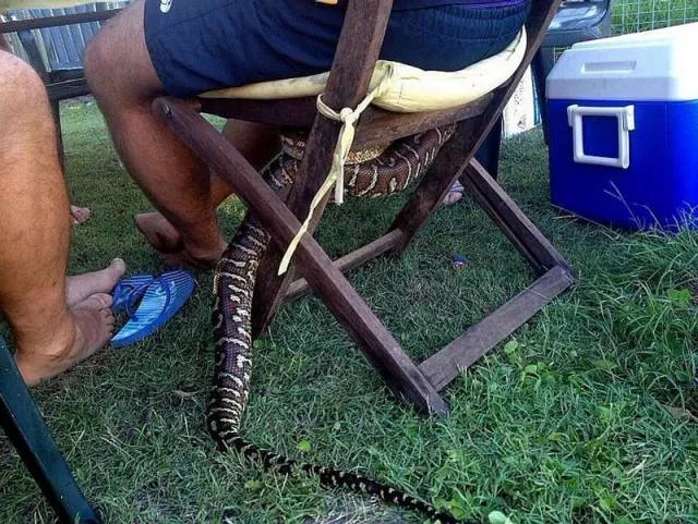 Picdump 160 - #39 