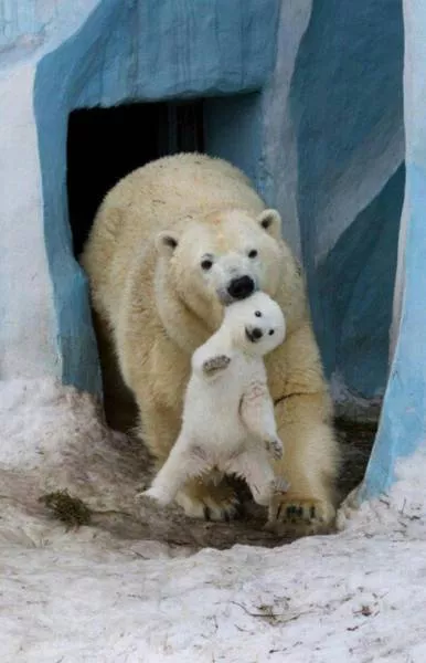 Picdump 160 - #45 