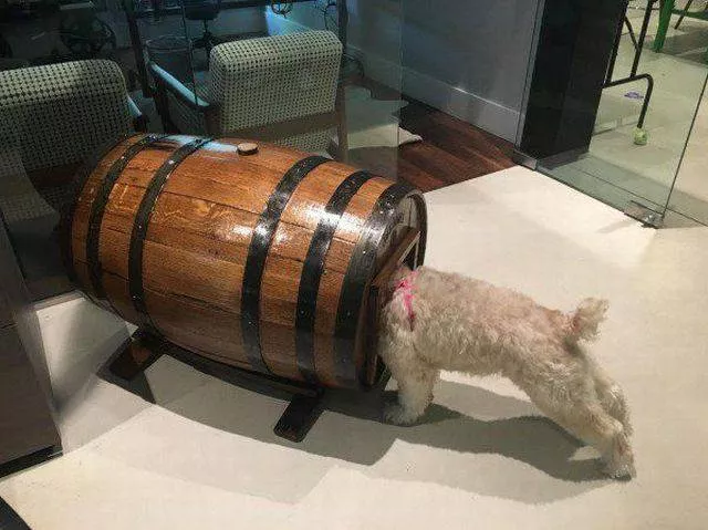 Picdump 160 - #46 