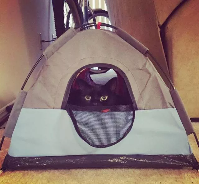 Picdump 160 - #47 