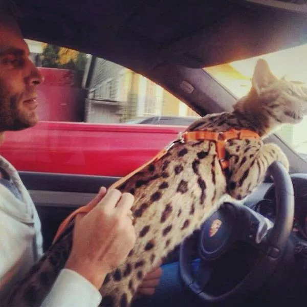 Picdump 160 - #59 
