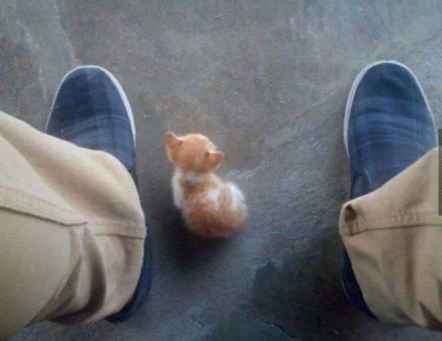 Picdump 160 - #72 