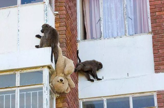 Picdump 160 - #79 