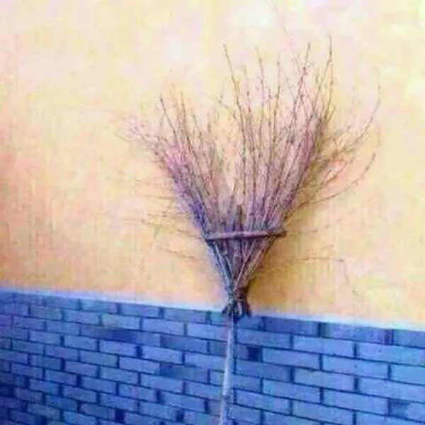 Dirty humor the best kind of humor - #7 