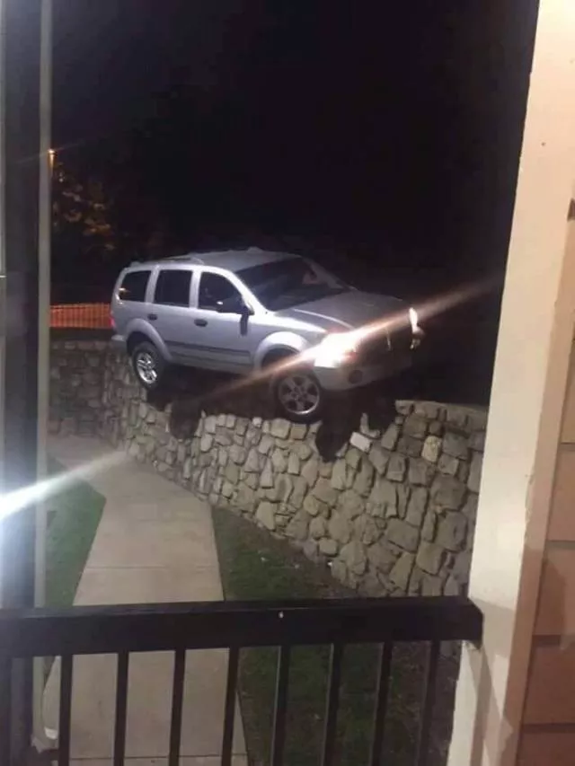 Best compilation of the week - #18 