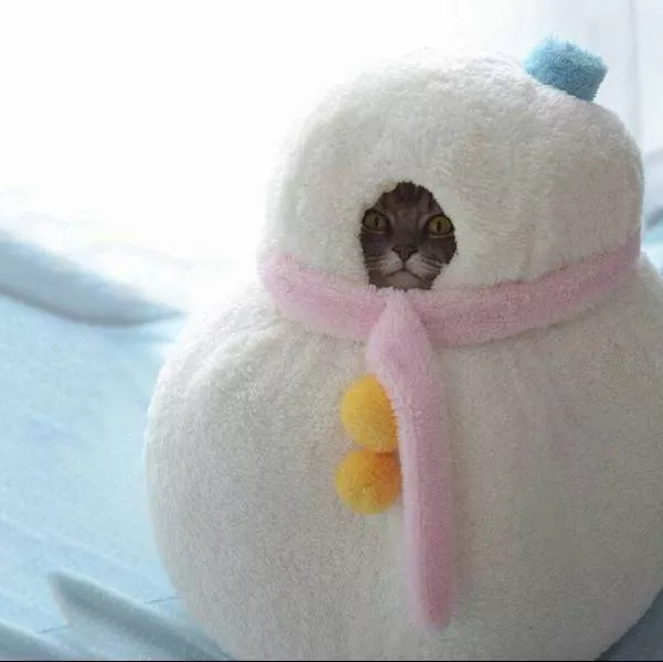 Picdump 161 - #43 