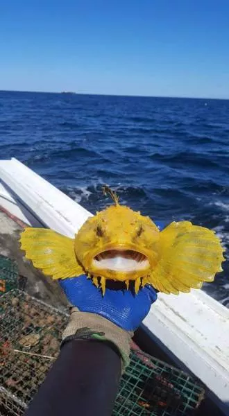Picdump 161 - #44 