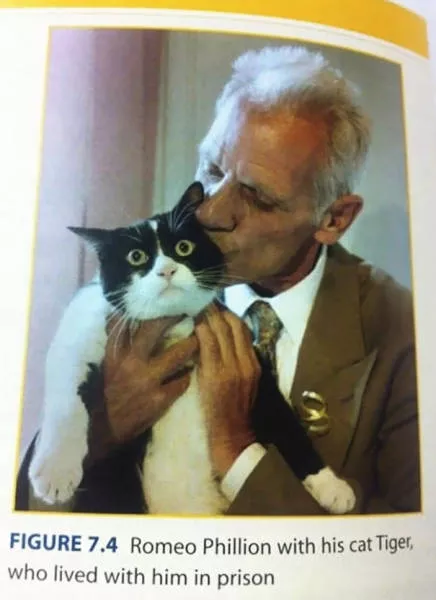 Funny pictures in textbooks - #14 