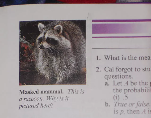 Funny pictures in textbooks - #15 
