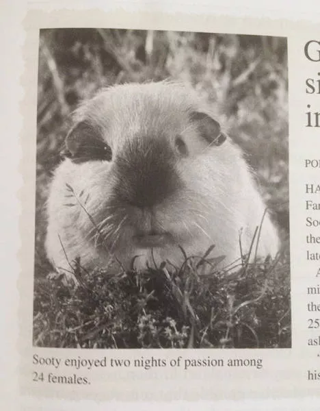 Funny pictures in textbooks - #47 