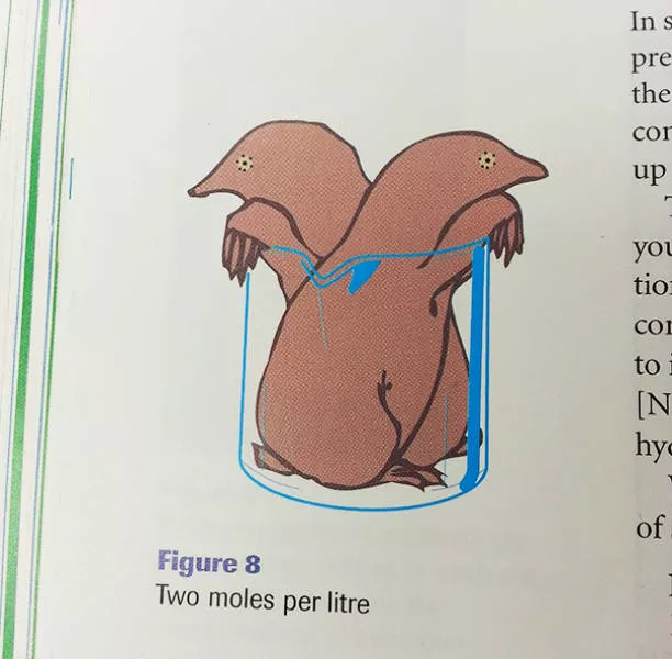 Funny pictures in textbooks - #53 