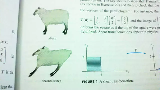 Funny pictures in textbooks - #56 