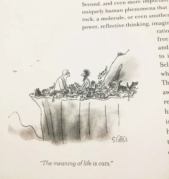 Funny pictures in textbooks - #6 