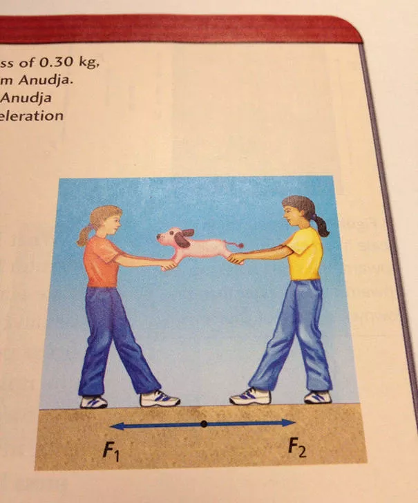 Funny pictures in textbooks - #64 