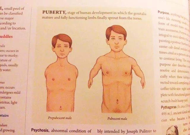 Funny pictures in textbooks - #66 