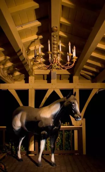 Infiltration at michael jacksons neverland ranch - #18 