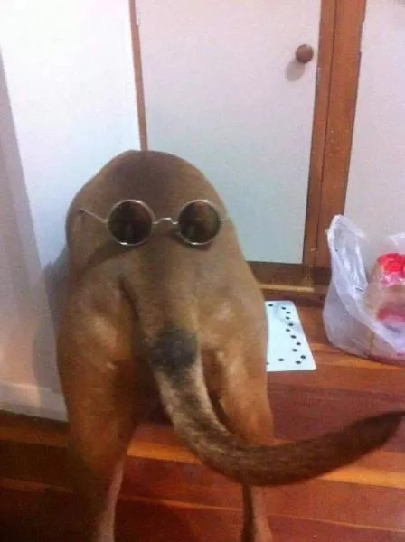 Picdump 162 - #41 