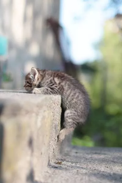 Picdump 163 - #24 