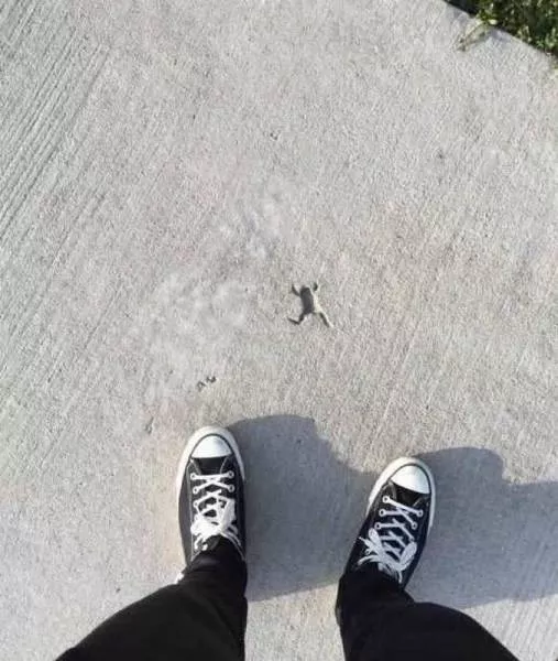Picdump 163 - #29 