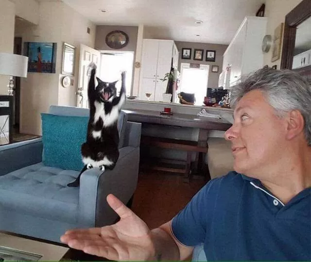 Picdump 163 - #31 