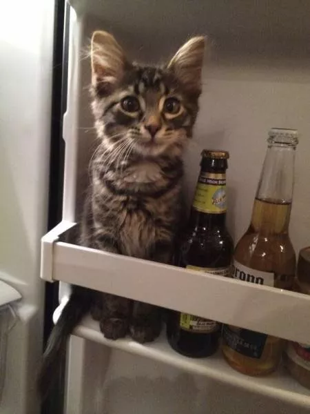 Picdump 163 - #34 