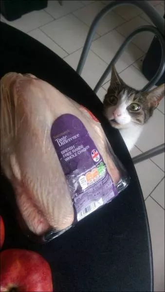 Picdump 163 - #48 