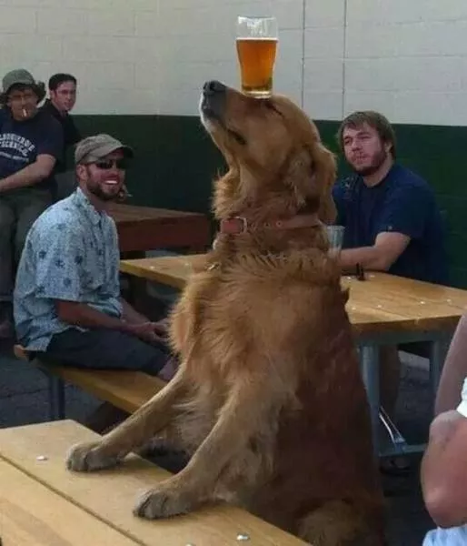 Picdump 163 - #59 