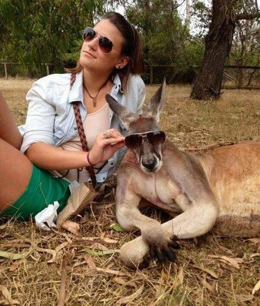 Picdump 163 - #62 