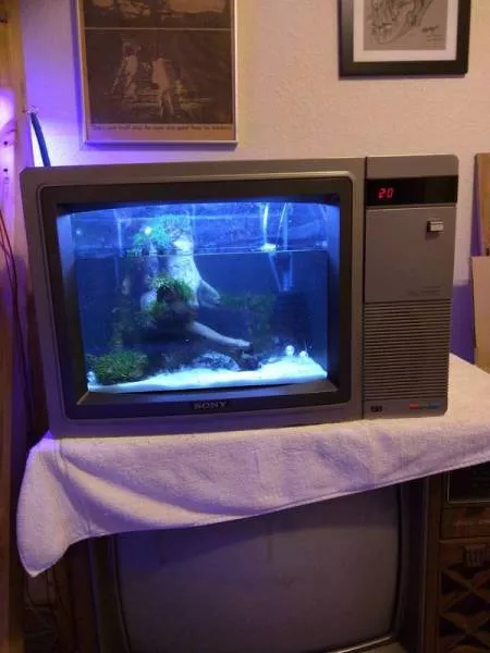 Picdump 164 - #15 