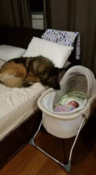 Picdump 164 - #25 