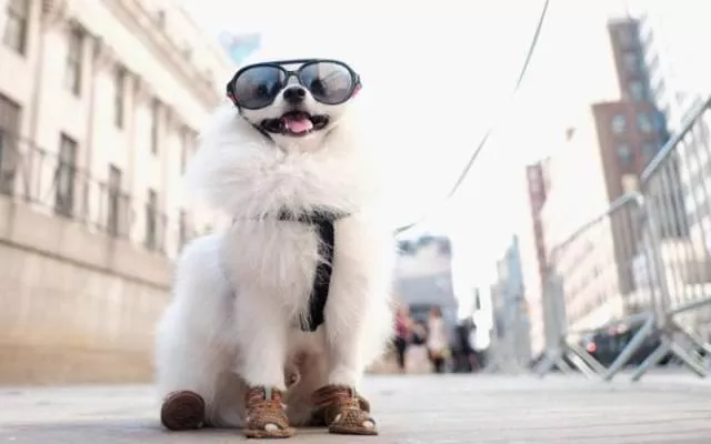 Picdump 165 - #16 