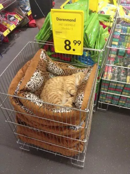 Picdump 165 - #23 
