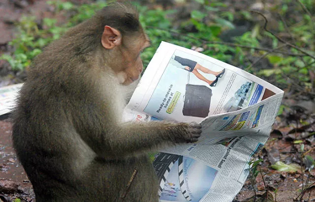 Picdump 165 - #28 