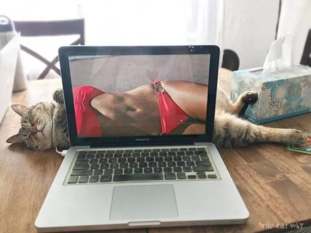 Picdump 165 - #38 