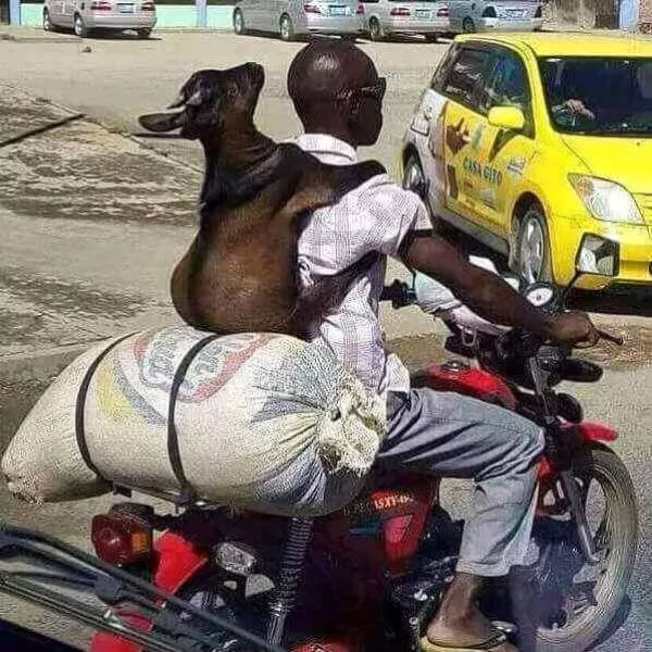 Picdump 165 - #7 
