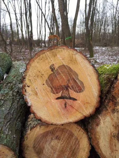 Picdump 165 - #72 