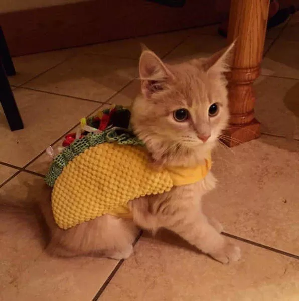 Picdump 166 - #39 