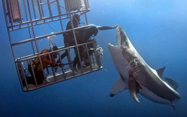 Best photos that speak for themselves - #21 