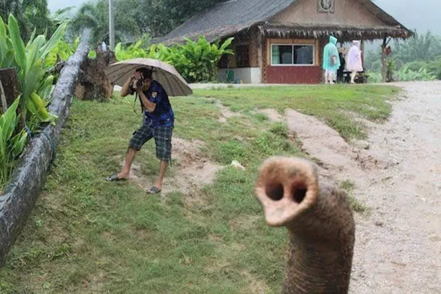 Best photos that speak for themselves - #28 