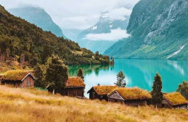 Best photos that speak for themselves - #30 