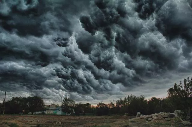 Best photos that speak for themselves - #40 