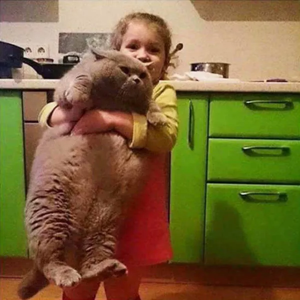 Meilleures photos qui parlent sur eux memes - #5 