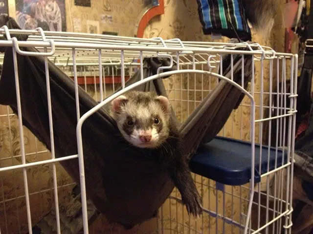 Picdump 167 - #11 