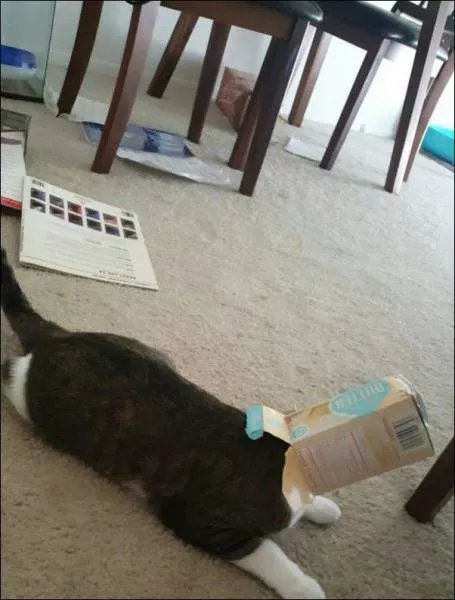 Picdump 167 - #23 
