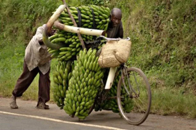 The craziest loads ever seen - #1 The craziest loads ever seen - #1