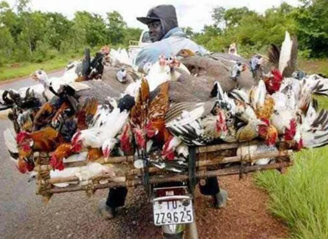 The craziest loads ever seen - #14 The craziest loads ever seen - #14