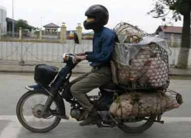 The craziest loads ever seen - #16 The craziest loads ever seen - #16