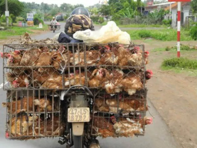 The craziest loads ever seen - #5 The craziest loads ever seen - #5