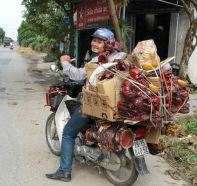 The craziest loads ever seen - #9 The craziest loads ever seen - #9